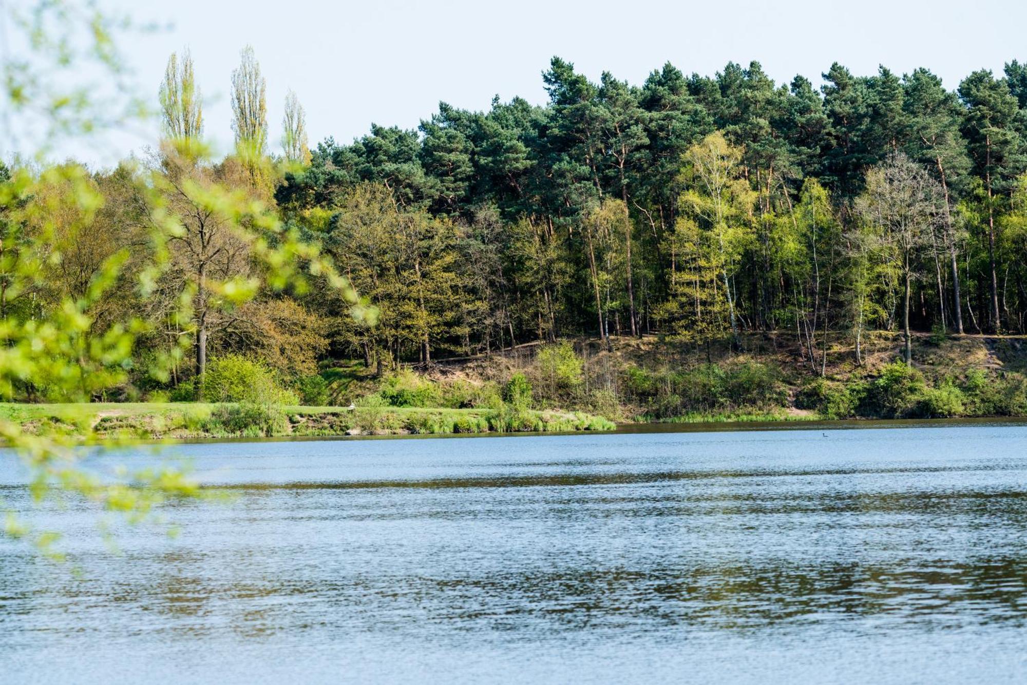 Waldhotel Schipp-Hummert เอมส์เด็ทเทน ภายนอก รูปภาพ